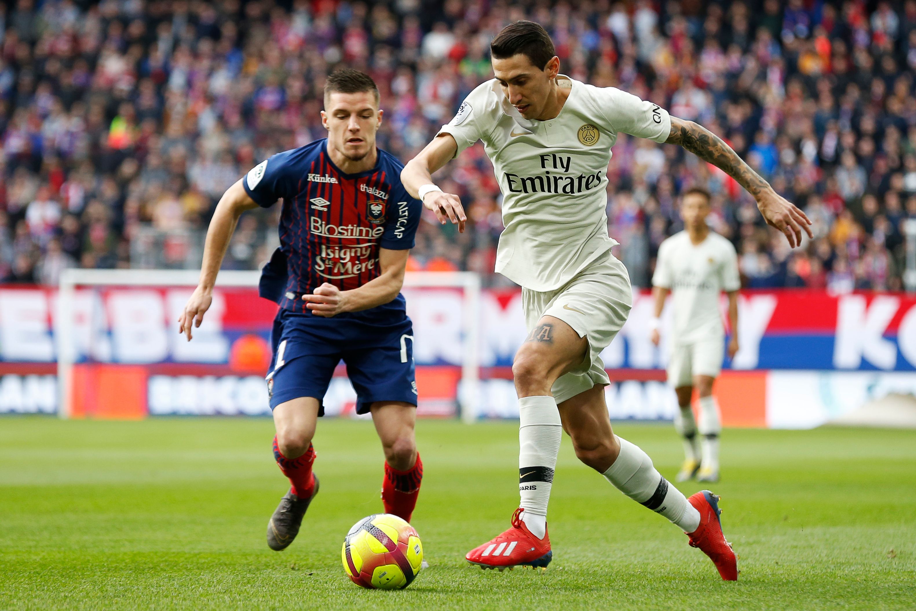 此前入选喀麦隆国家队，经纪人：科法内不会随国家队出征（经纪人确认：入选喀麦隆国家队的科法内不随队出征）